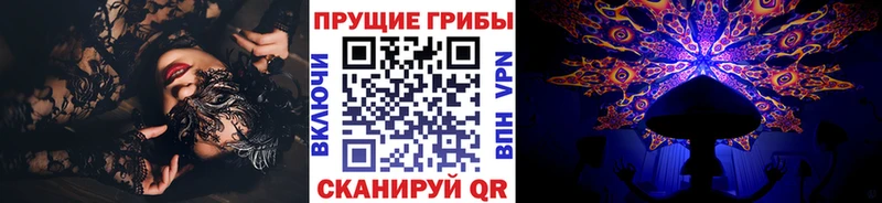 купить наркотик  Кувшиново  кракен ССЫЛКА  Галлюциногенные грибы MAGIC MUSHROOMS 