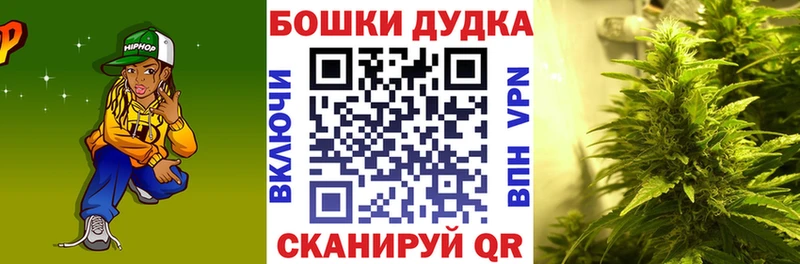 Бошки Шишки семена  гидра маркетплейс  Кувшиново 